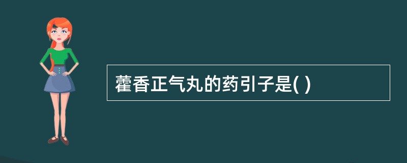 藿香正气丸的药引子是( )