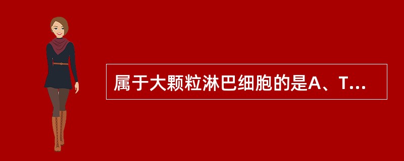 属于大颗粒淋巴细胞的是A、T淋巴细胞B、B淋巴细胞C、NK细胞D、单核细胞E、大