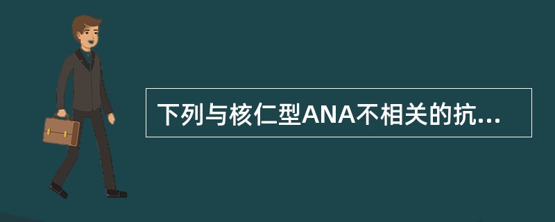下列与核仁型ANA不相关的抗体是 ( )A、抗核仁特异的低分子量RNAB、抗RN