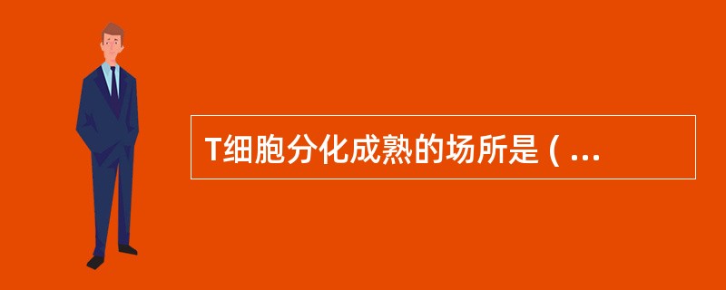 T细胞分化成熟的场所是 ( )A、骨髓B、法氏囊C、脾脏D、胸腺E、淋巴结 -