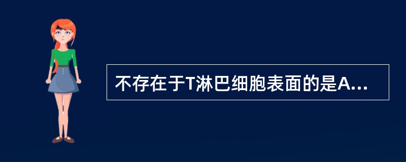 不存在于T淋巴细胞表面的是A、CD2B、CD3C、CD28D、TCRE、CD80