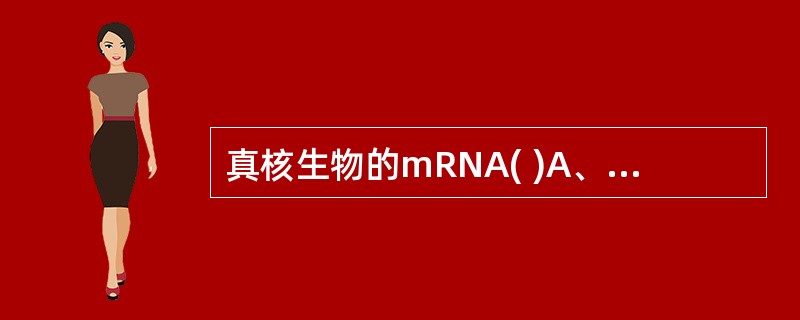 真核生物的mRNA( )A、帽子结构是一系列的腺苷酸B、在胞质内合成和发挥其功能