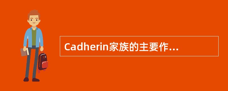 Cadherin家族的主要作用是A、介导细胞与ECM的粘附B、介导炎症细胞渗出过