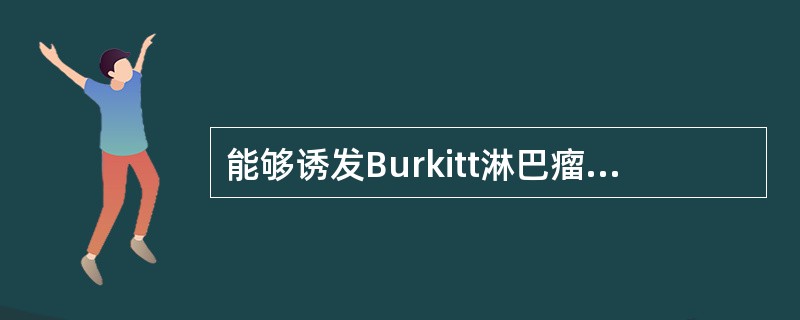 能够诱发Burkitt淋巴瘤的病毒是A、乙型肝炎病毒B、丙型肝炎病毒C、人乳头状