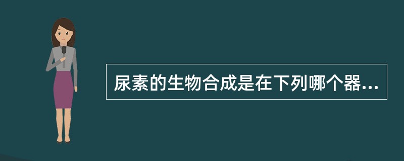 尿素的生物合成是在下列哪个器官进行的A、肝脏B、肾脏C、肺D、肾上腺E、小肠 -