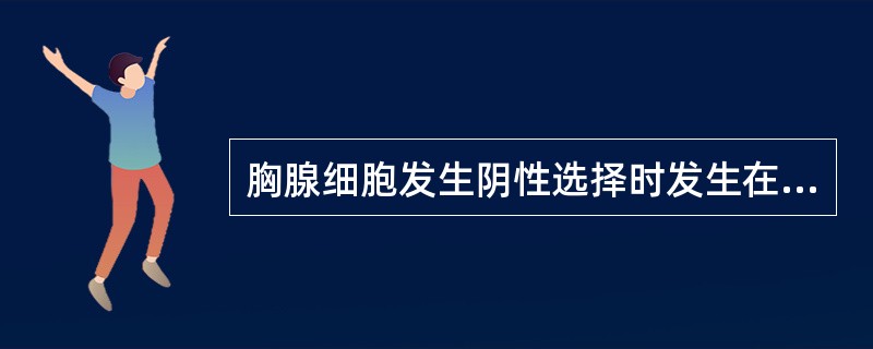 胸腺细胞发生阴性选择时发生在A、双阳性期B、双阴性期C、单阳性期D、前T细胞期E