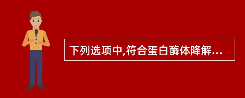 下列选项中,符合蛋白酶体降解蛋白质特点的是( )A、不需泛素参与B、主要降解外来