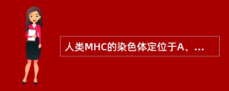 人类MHC的染色体定位于A、第1号染色体B、第6号染色体C、第9号染色体D、第1