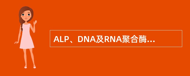 ALP、DNA及RNA聚合酶,以及乳酸脱氢酶等酶均含有 ( )A、铜B、铁C、锌