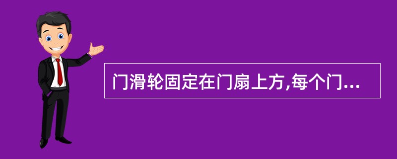 门滑轮固定在门扇上方,每个门扇至少装有()。