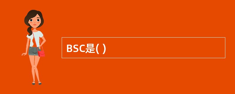 BSC是( )