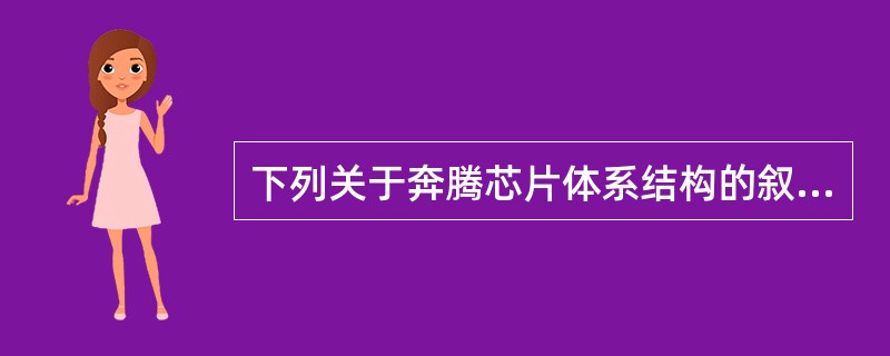 下列关于奔腾芯片体系结构的叙述中,正确的是