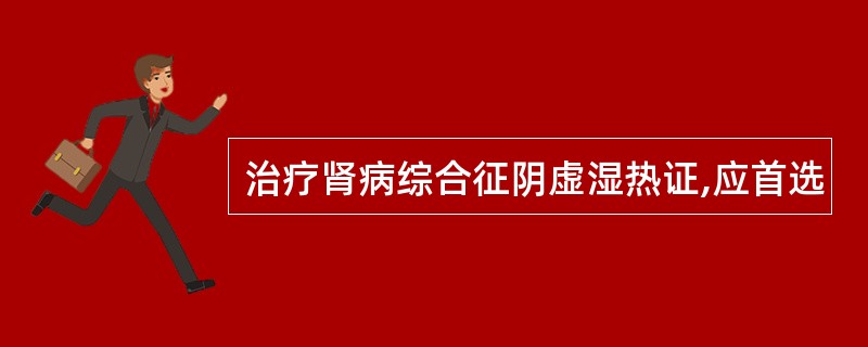 治疗肾病综合征阴虚湿热证,应首选