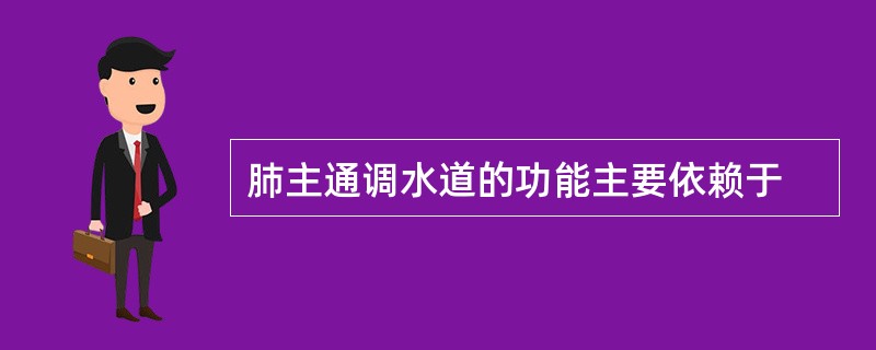 肺主通调水道的功能主要依赖于