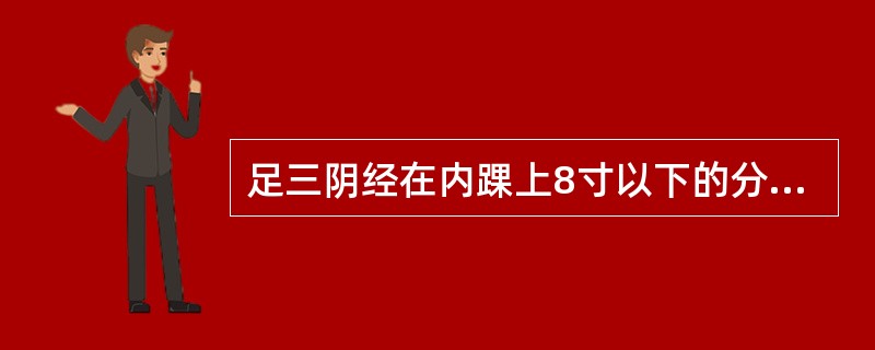 足三阴经在内踝上8寸以下的分布规律是