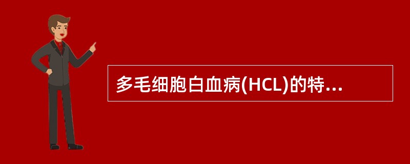 多毛细胞白血病(HCL)的特征性细胞化学染色为A、POX阳性B、NAP阳性C、S