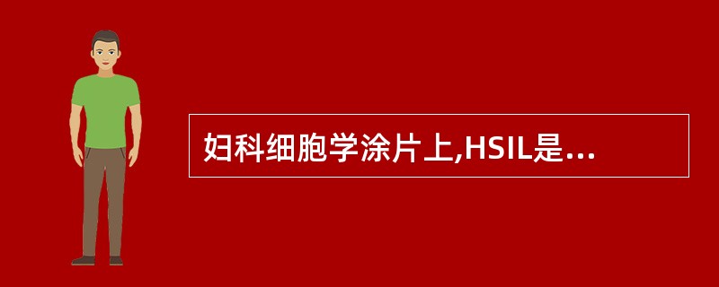 妇科细胞学涂片上,HSIL是指A、不明意义不典型鳞状上皮细胞B、高度鳞状上皮细胞