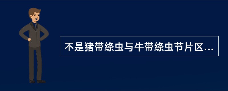 不是猪带绦虫与牛带绦虫节片区别点的是A、前者短,后者长B、前者薄,后者厚C、前者