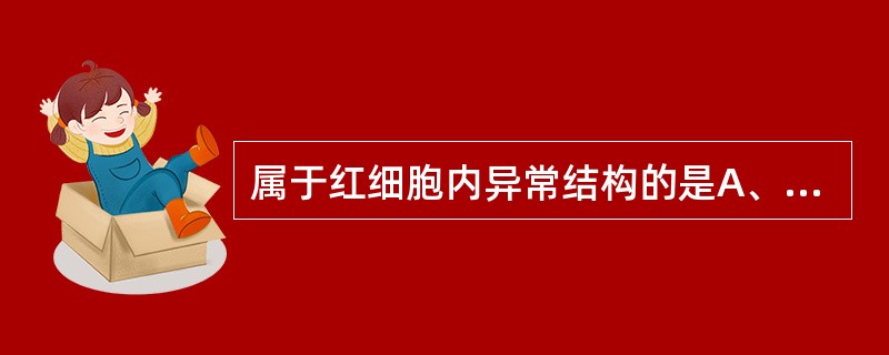 属于红细胞内异常结构的是A、中毒颗粒B、豪焦小体C、棒状小体D、空泡变性E、杜勒