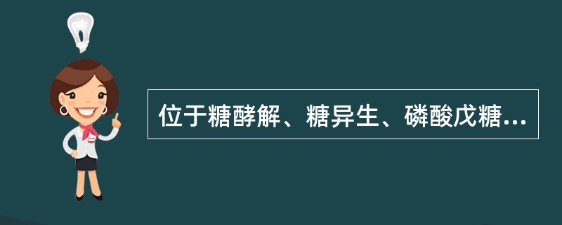 位于糖酵解、糖异生、磷酸戊糖途径、糖原合成和糖原分解各条代谢途径交汇点上的化合物