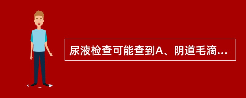 尿液检查可能查到A、阴道毛滴虫,痢疾阿米巴滋养体B、蓝氏贾第鞭毛虫包囊,丝虫的微