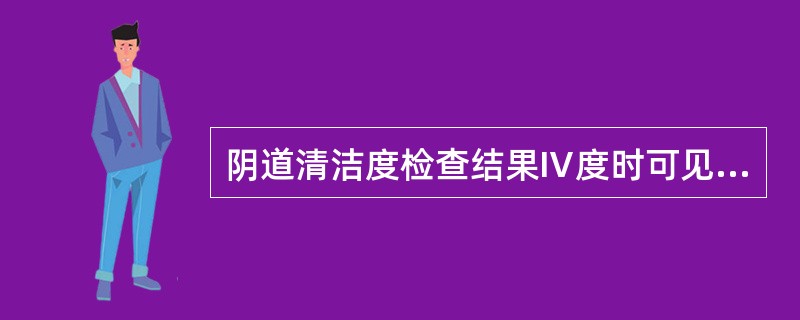 阴道清洁度检查结果Ⅳ度时可见A、杆菌£­B、杂菌2£«C、吞噬细胞D、上皮细胞4