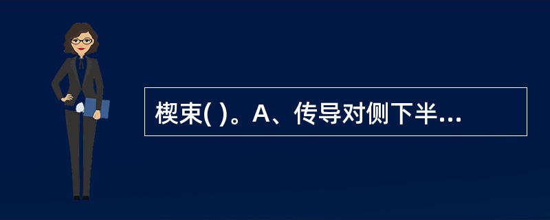 楔束( )。A、传导对侧下半身的意识性本体觉和精细触觉冲动B、传导对侧上半身的意