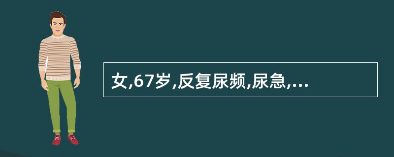 女,67岁,反复尿频,尿急,尿痛伴低热3年,BP130£¯75mmHg,尿常规: