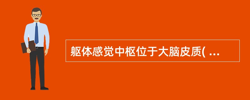 躯体感觉中枢位于大脑皮质( )。A、中央前回B、中央后回C、颞上回D、额上回E、