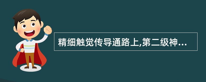 精细触觉传导通路上,第二级神经元在( )。