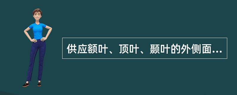 供应额叶、顶叶、颞叶的外侧面和岛叶,内囊膝部和后肢前2£¯3,壳核,苍白球和尾状