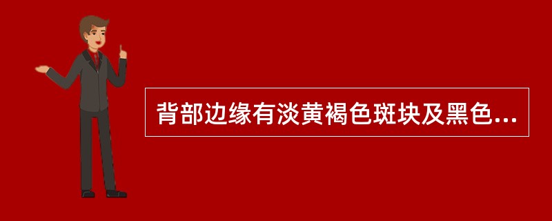 背部边缘有淡黄褐色斑块及黑色小点的动物类药材是A、蜈蚣B、海马C、斑蝥D、冀地鳖