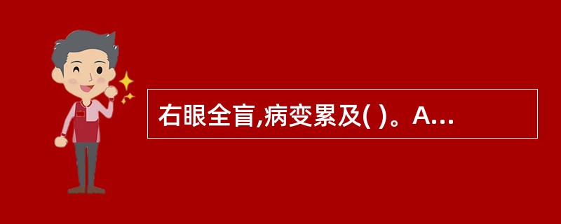 右眼全盲,病变累及( )。A、枕叶B、视放射C、视束D、视交叉E、视神经