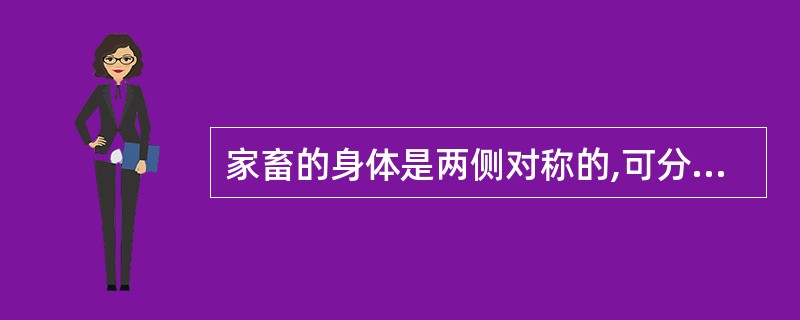 家畜的身体是两侧对称的,可分为头、躯干、四肢三大部分。