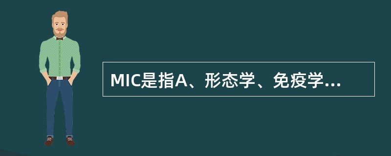 MIC是指A、形态学、免疫学和细胞化学B、形态学、生理学和细胞流变学C、形态学、