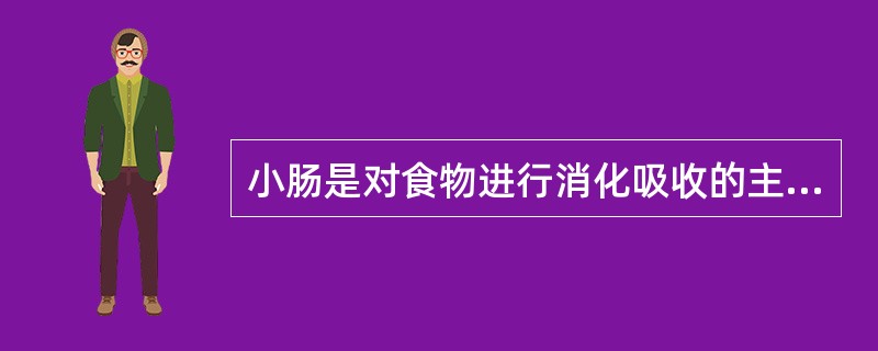 小肠是对食物进行消化吸收的主要部位,包括十二指肠、空肠、回肠三段。