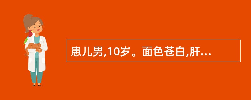 患儿男,10岁。面色苍白,肝、脾肿大,血红蛋白65g£¯L,血片见正常和低色素红