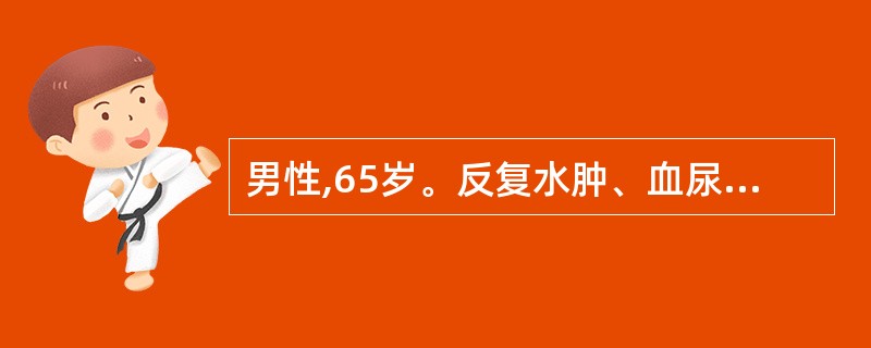 男性,65岁。反复水肿、血尿、蛋白尿20年。血压180£¯110mmHg,BUN