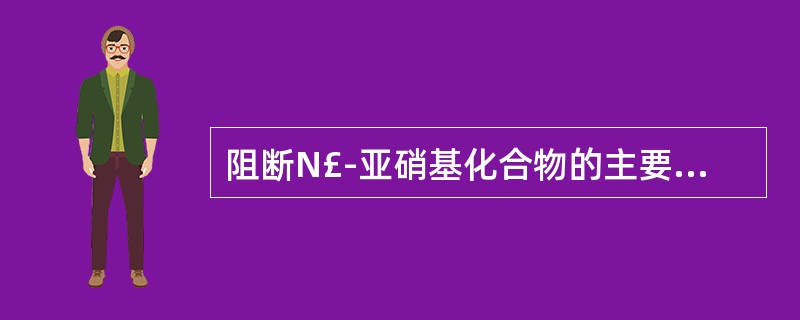 阻断N£­亚硝基化合物的主要食品是