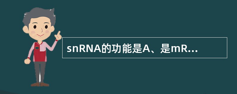 snRNA的功能是A、是mRNA的前体B、催化DNA的合成C、催化RNA的合成D