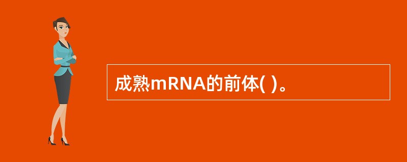 成熟mRNA的前体( )。