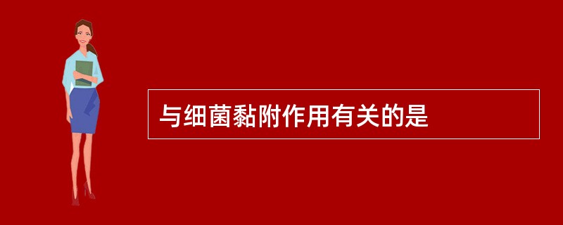 与细菌黏附作用有关的是
