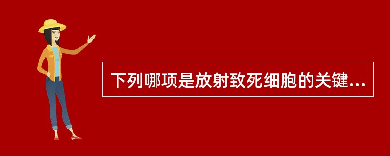 下列哪项是放射致死细胞的关键损伤A、DSBB、SSBC、碱基损伤D、DNA交联E