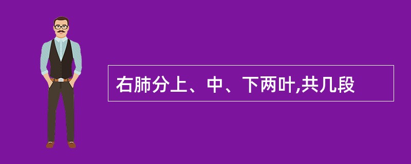 右肺分上、中、下两叶,共几段