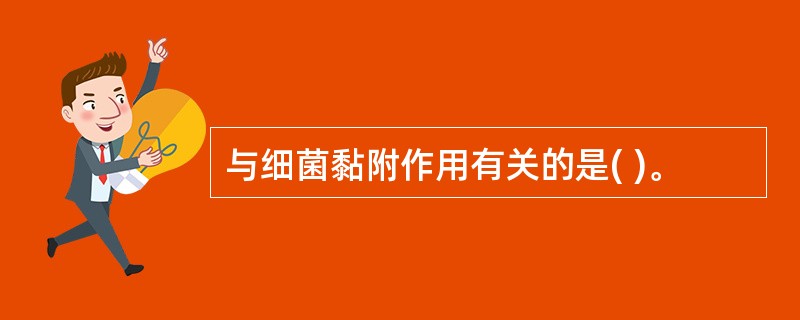 与细菌黏附作用有关的是( )。