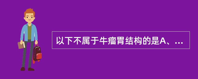 以下不属于牛瘤胃结构的是A、贲门B、腹囊C、左纵沟D、右纵沟E、幽门