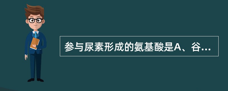 参与尿素形成的氨基酸是A、谷氨酸B、丙氨酸C、天冬氨酸D、缬氨酸E、甘氨酸 -