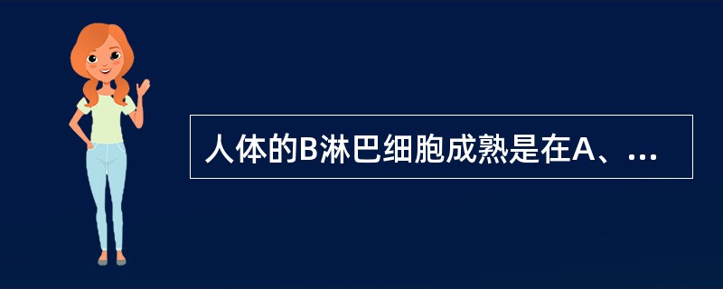 人体的B淋巴细胞成熟是在A、胸腺B、骨髓C、淋巴结D、法氏囊E、脾