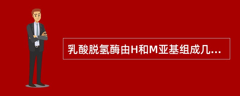 乳酸脱氢酶由H和M亚基组成几种同工酶A、2B、3C、4D、5E、6