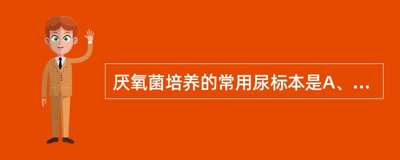 厌氧菌培养的常用尿标本是A、清洁头段尿B、清洁中段尿C、留24小时尿D、导尿E、